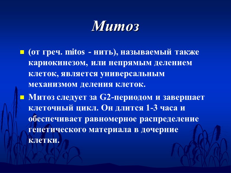 Митоз (от греч. mitos - нить), называемый также кариокинезом, или непрямым делением клеток, является